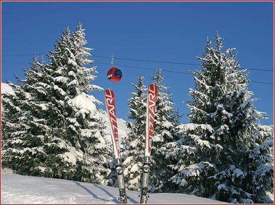 Bauernhof Appartement Peil