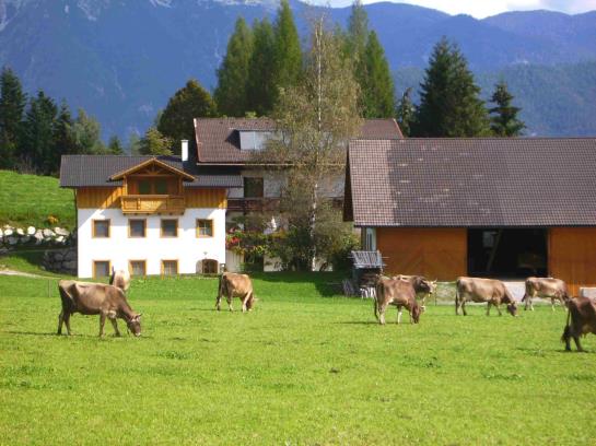 Bauernhof Biohof Gschwandt