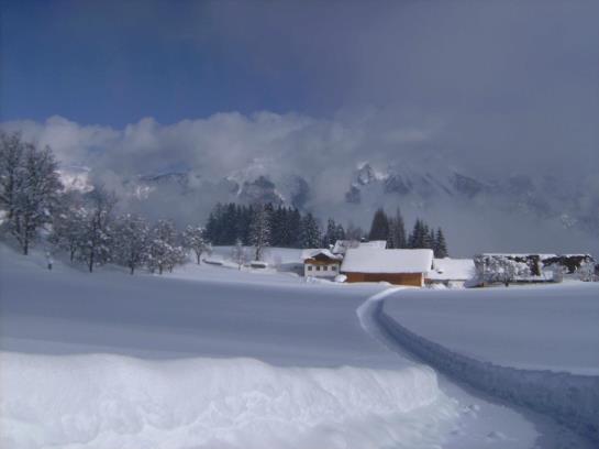 Bauernhof Biohof Gschwandt
