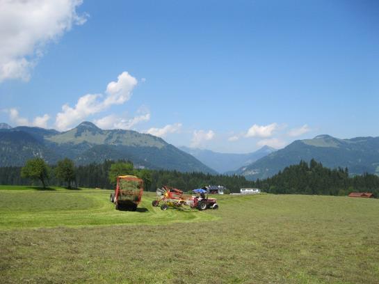 Bauernhof Oberhochstaett