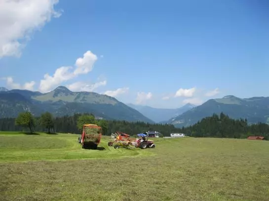 Bauernhof Oberhochstaett