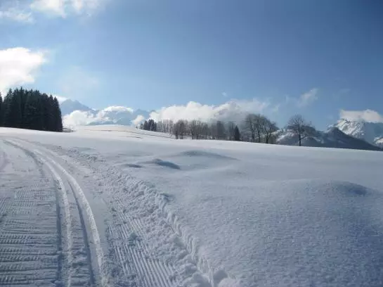 Bauernhof Oberhochstaett