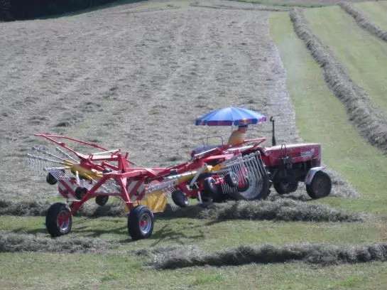 Bauernhof Oberhochstaett