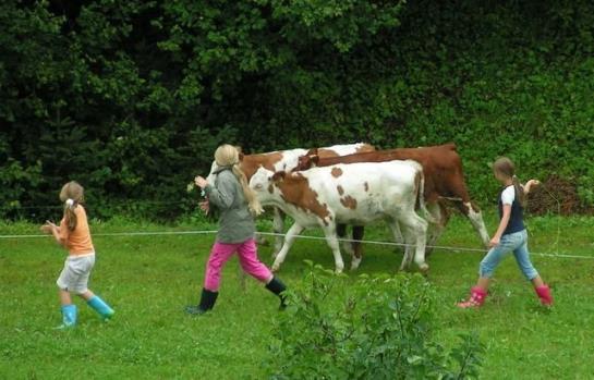 Bauernhof Oberhochstaett