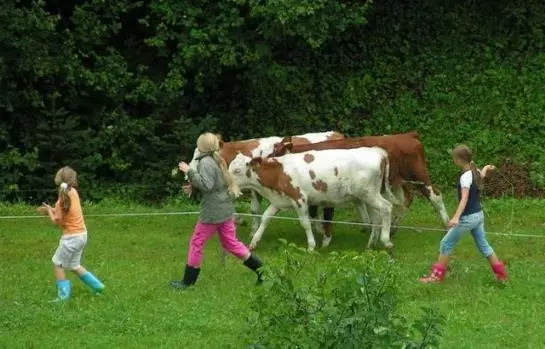 Bauernhof Oberhochstaett
