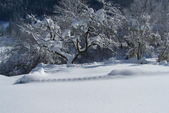 Bauernhof Oberhochstaett