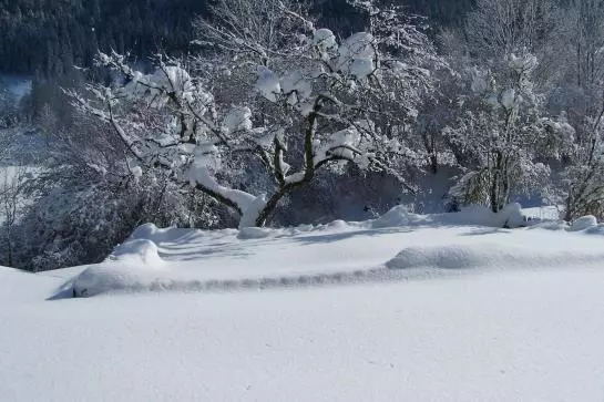 Bauernhof Oberhochstaett