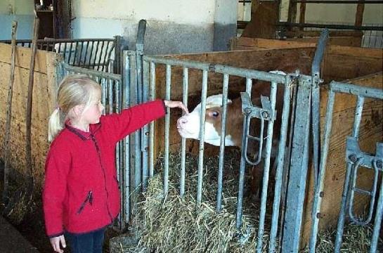 Bauernhof Oberhochstaett