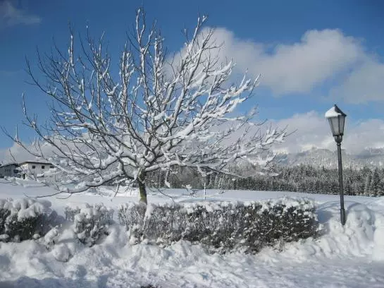 Bauernhof Oberhochstaett