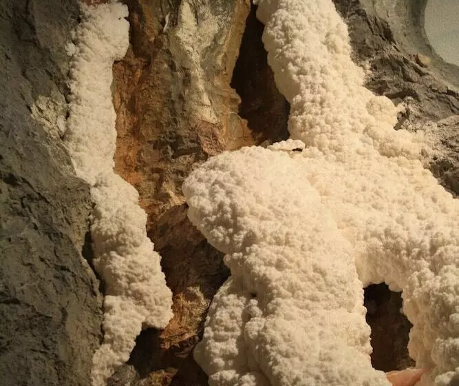 酒店 Bichlingerhof