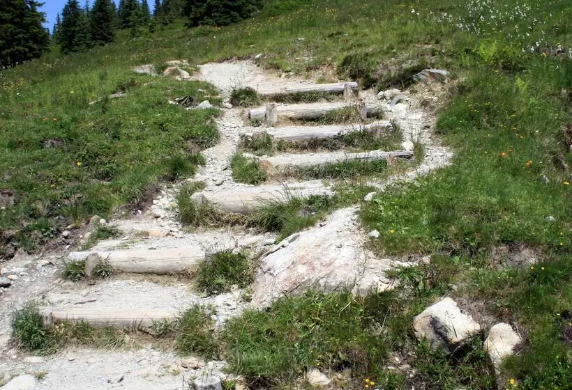 호텔 Bichlingerhof