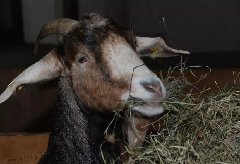 هتل Erbhof Hinterrain