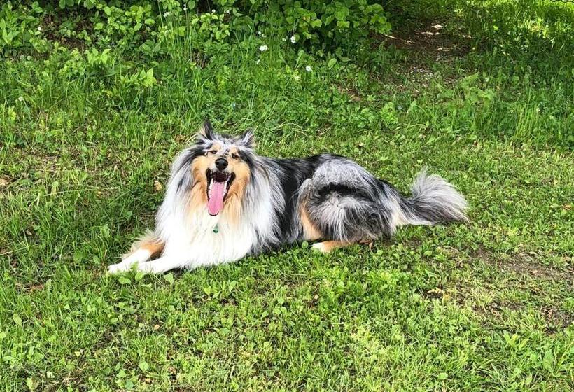 Boutique Hotel Loipenhof