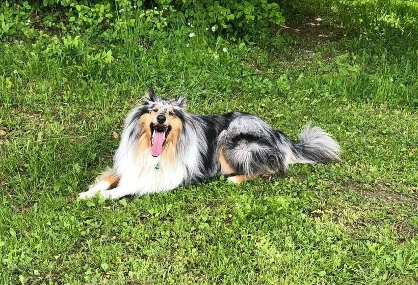 Boutique Hotel Loipenhof