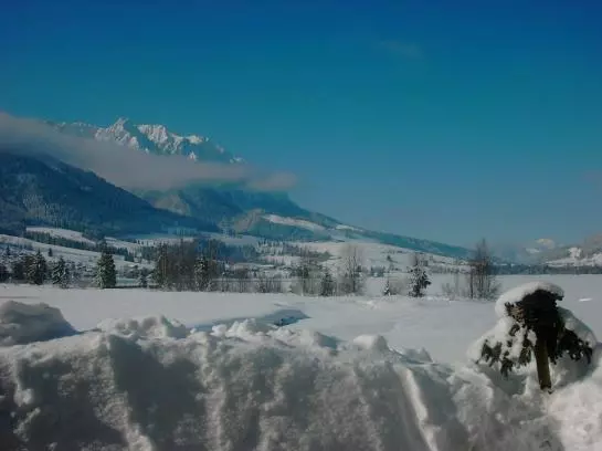 Majatalo Gasthof Essbaum Direkt Am See