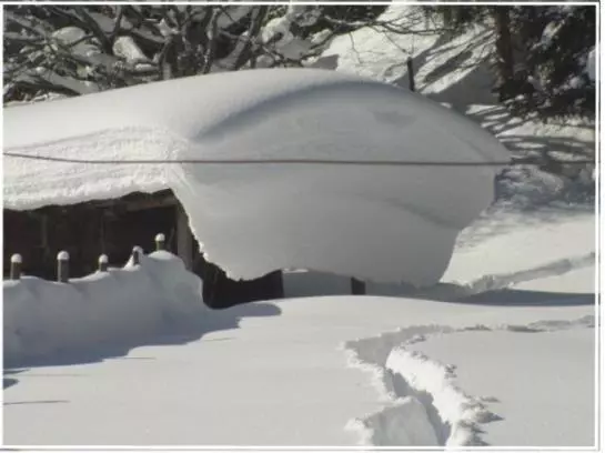 Пансион Gasthof Gern Alm