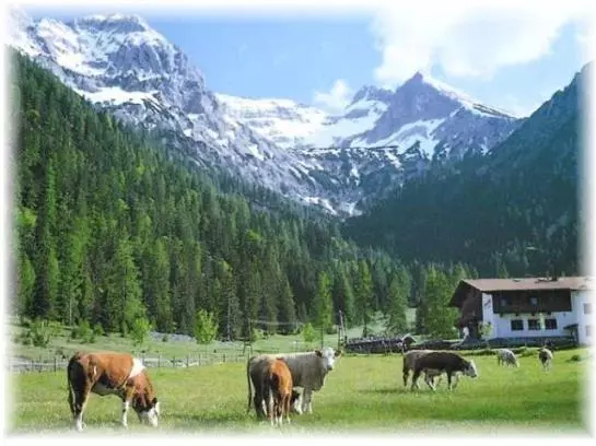 Пансион Gasthof Gern Alm