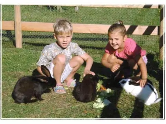 Пансион Gasthof Gern Alm