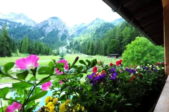 Пансион Gasthof Gern Alm