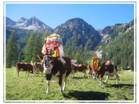 Пансион Gasthof Gern Alm