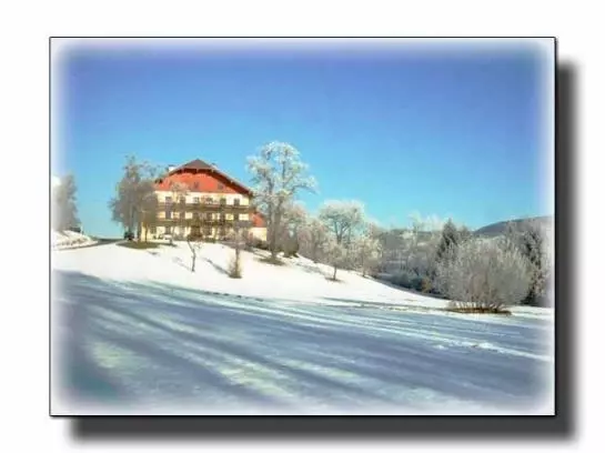 ホテル Haubnerhof