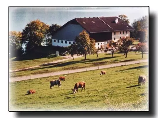 ホテル Haubnerhof