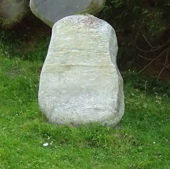 ホテル Haus Bergheim