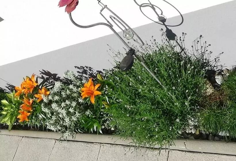 ホテル Haus Bergheim