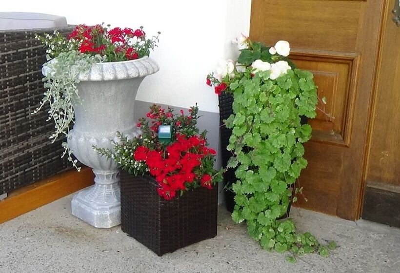 فندق Haus Bergheim