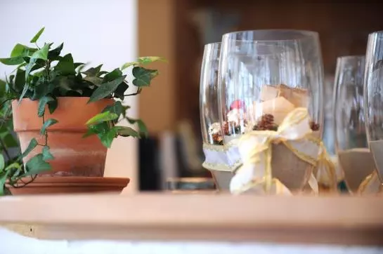 Ilgerhof Garni & Appartement