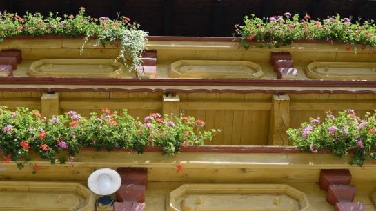 ホテル Schneider Juliana