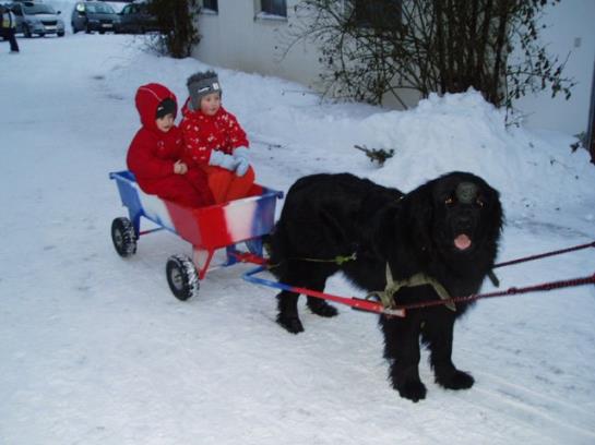 Otel Sturmgut Berghof