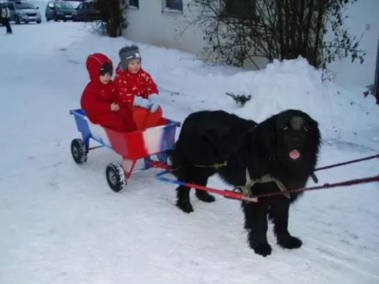 Otel Sturmgut Berghof