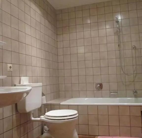 펜션 Gasthof Hirschen