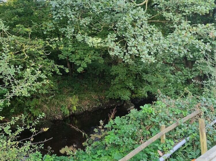 ホテル Glamping Hut   Riverview 4