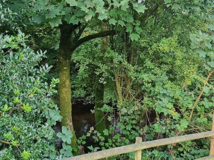 ホテル Glamping Hut   Riverview 4