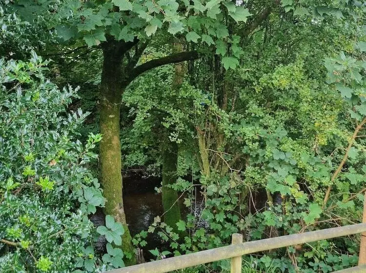 ホテル Glamping Hut   Riverview 4