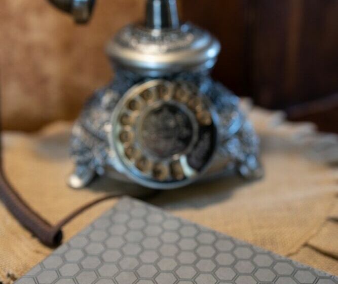 بنسيون Honey Bee Manor