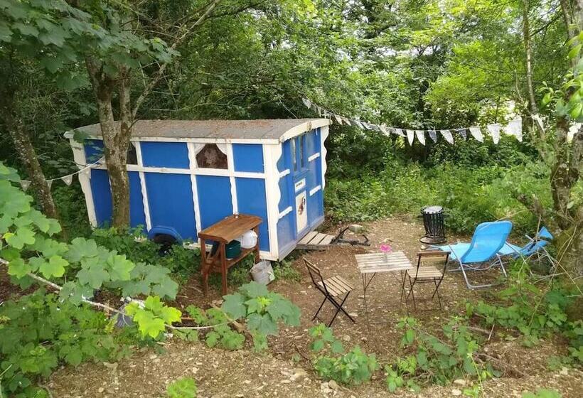 Pilgrims Shepherd S Hut   Goosewell Glynn Glamping