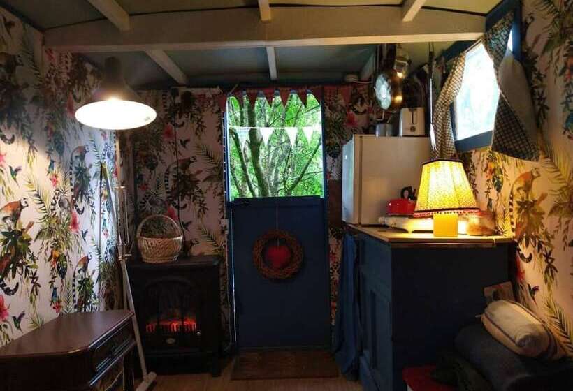 Pilgrims Shepherd S Hut   Goosewell Glynn Glamping