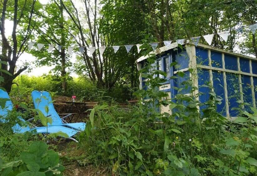 Pilgrims Shepherd S Hut   Goosewell Glynn Glamping