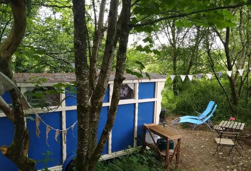 Pilgrims Shepherd S Hut   Goosewell Glynn Glamping