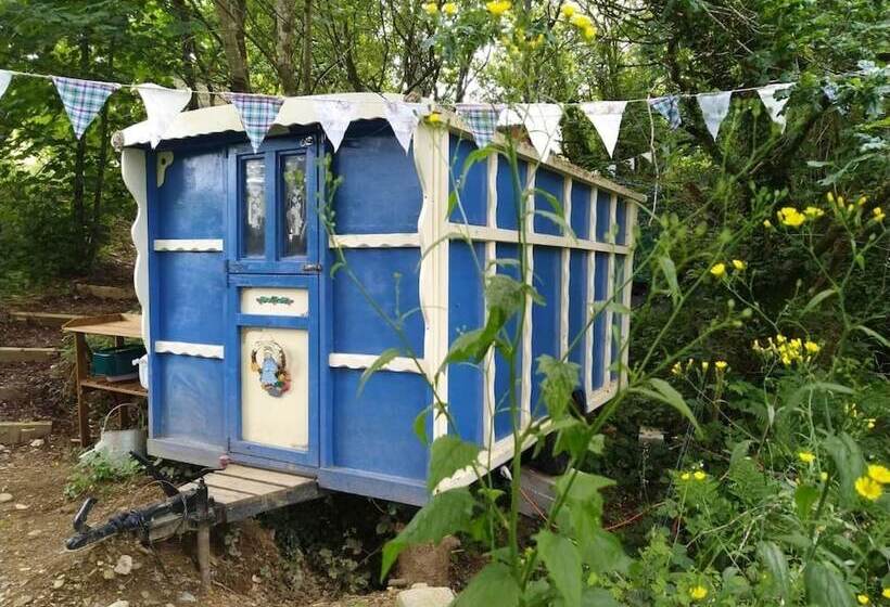 Pilgrims Shepherd S Hut   Goosewell Glynn Glamping