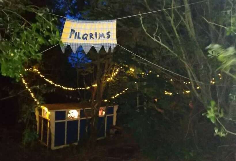 Pilgrims Shepherd S Hut   Goosewell Glynn Glamping