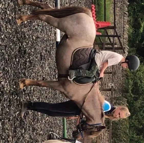 Cosy Cottage Sleeps 6 Suit Families, Contractors, Couples