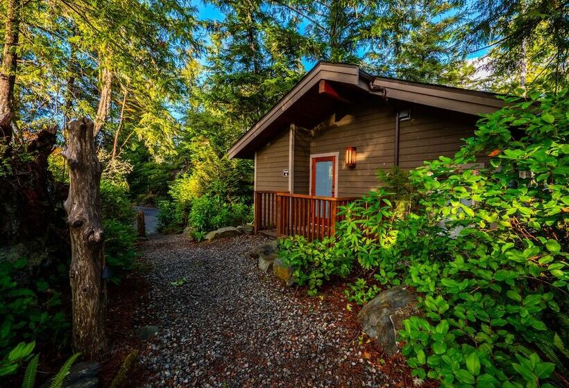منتجع The Cabins At Terrace Beach