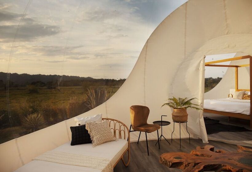 هتل Green Land Bubble Glamping By Mint