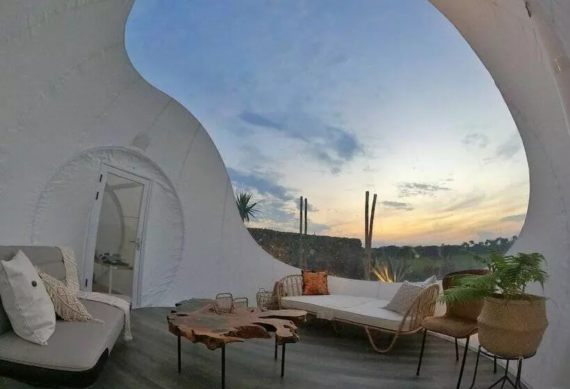 هتل Green Land Bubble Glamping By Mint