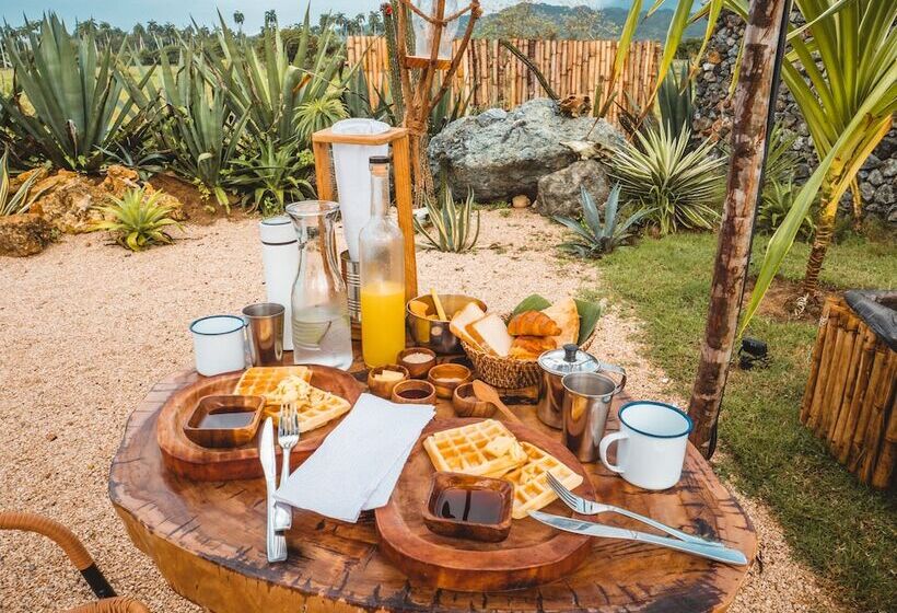 هتل Green Land Bubble Glamping By Mint