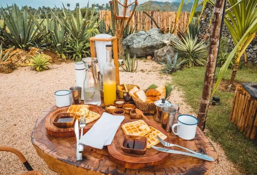 هتل Green Land Bubble Glamping By Mint